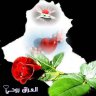 Kazem AL-Maliki
