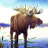 Montana Man