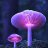 fungus1948
