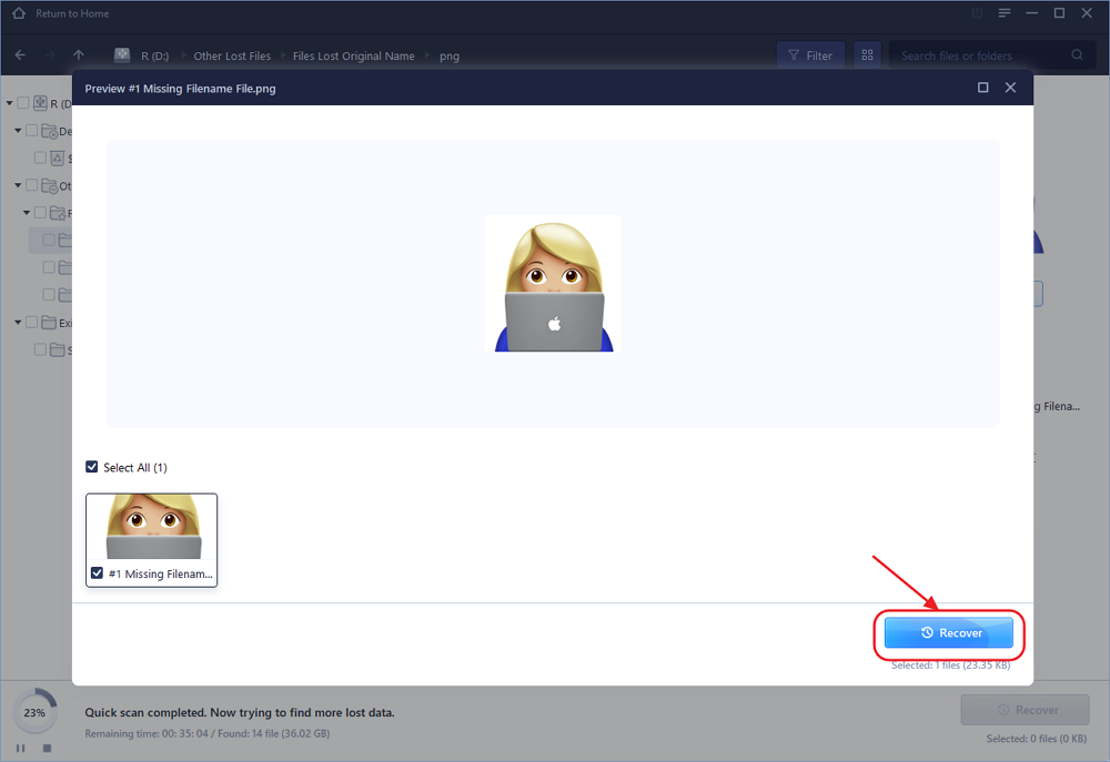 preview and recover data