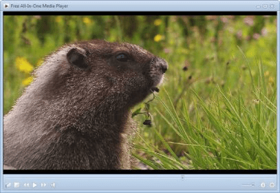 free-all-in-one-media-player.software.informer.com