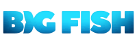 bigfishgames.zendesk.com